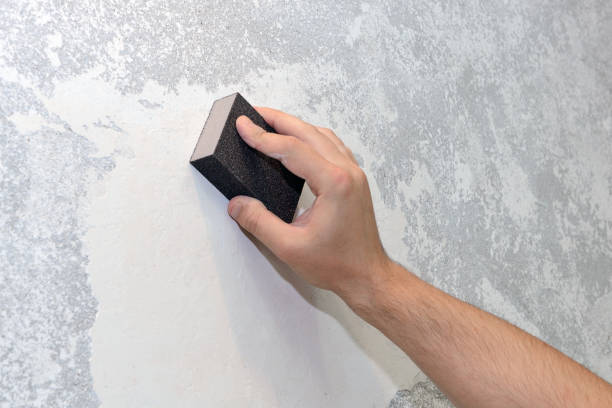 Best Mold Damage Restoration  in Deer Park, OH