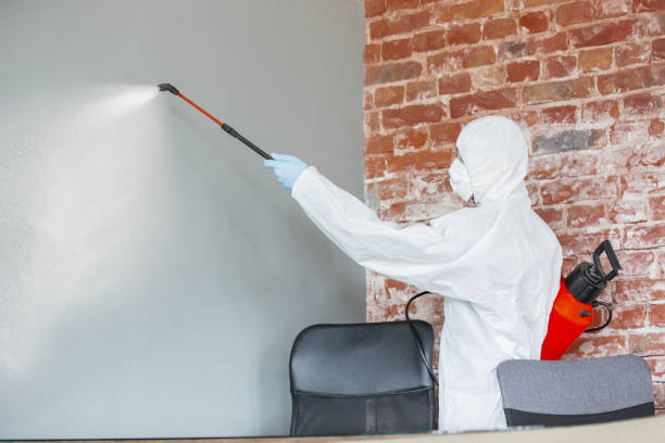 Forensic Mold Investigation in Deer Park, OH