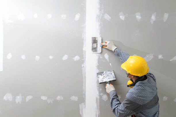 Best Mold Removal for HVAC Installations  in Deer Park, OH