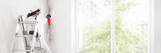 Best Real Estate Mold Inspection  in Deer Park, OH
